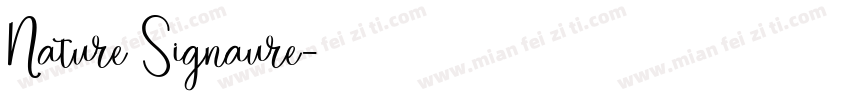 Nature Signaure字体转换